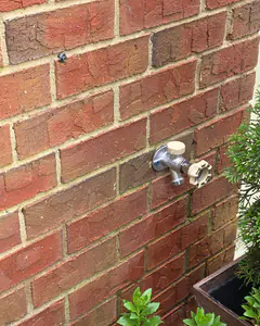 A new hose bib on a brick wall beside an evergreen shrub