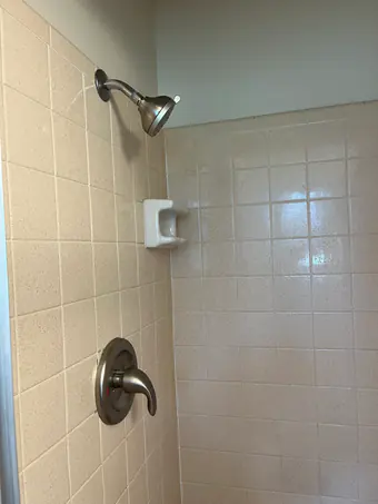 After: the new brushed-nickel trim and shower head on the tile.
